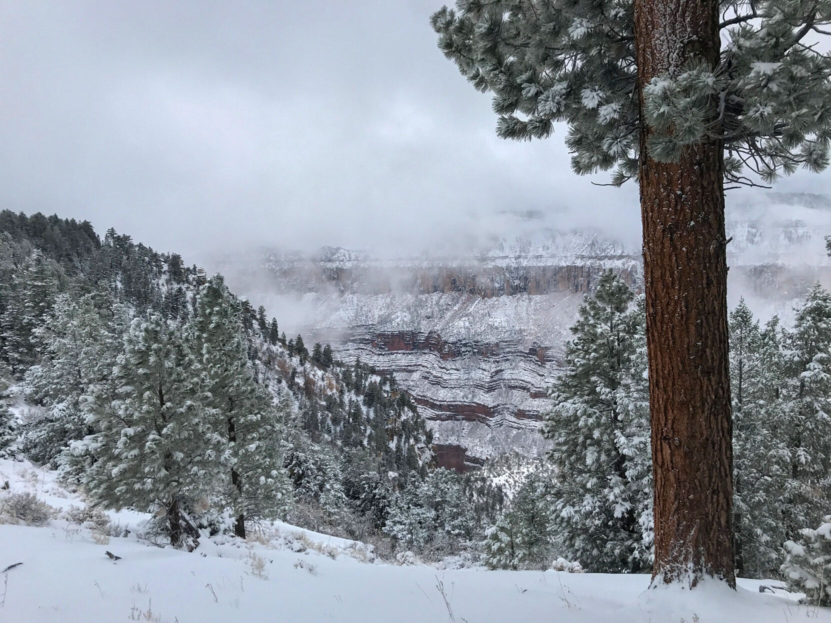 Snow in the Grand Canyon